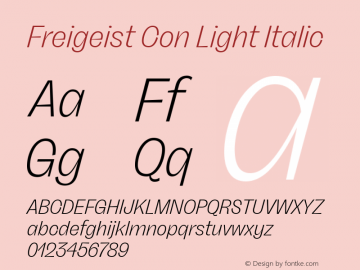 Freigeist Con Light Italic Version 1.000;hotconv 1.0.109;makeotfexe 2.5.65596 Font Sample