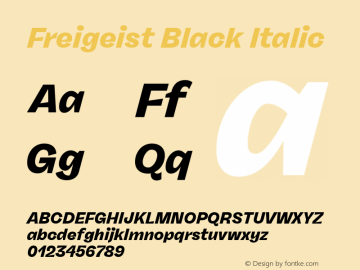 Freigeist Black Italic Version 1.000;hotconv 1.0.109;makeotfexe 2.5.65596 Font Sample