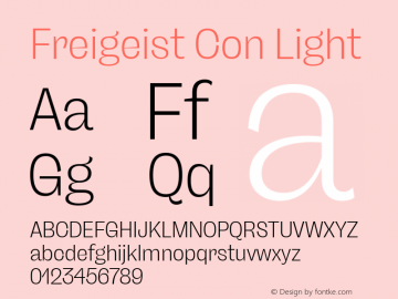 Freigeist Con Light Version 1.000;hotconv 1.0.109;makeotfexe 2.5.65596 Font Sample
