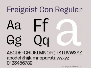 Freigeist Con Regular Version 1.000;hotconv 1.0.109;makeotfexe 2.5.65596 Font Sample