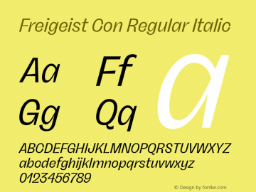 Freigeist Con Regular Italic Version 1.000;hotconv 1.0.109;makeotfexe 2.5.65596 Font Sample