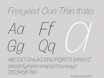 Freigeist Con Thin Italic Version 1.000;hotconv 1.0.109;makeotfexe 2.5.65596 Font Sample