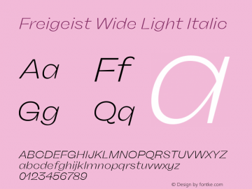 Freigeist Wide Light Italic Version 1.000;hotconv 1.0.109;makeotfexe 2.5.65596 Font Sample