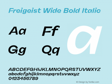 Freigeist Wide Bold Italic Version 1.000;hotconv 1.0.109;makeotfexe 2.5.65596 Font Sample