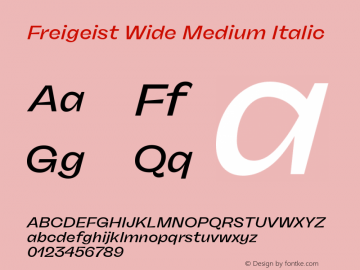 Freigeist Wide Medium Italic Version 1.000;hotconv 1.0.109;makeotfexe 2.5.65596 Font Sample