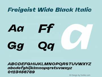 Freigeist Wide Black Italic Version 1.000;hotconv 1.0.109;makeotfexe 2.5.65596 Font Sample