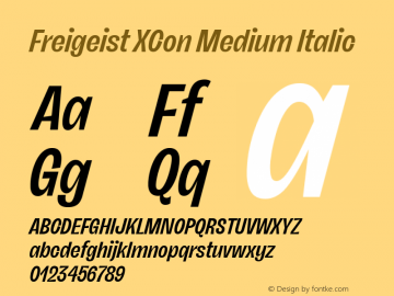 Freigeist XCon Medium Italic Version 1.000;hotconv 1.0.109;makeotfexe 2.5.65596 Font Sample