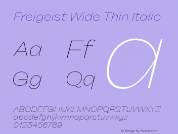 Freigeist Wide Thin Italic Version 1.000;hotconv 1.0.109;makeotfexe 2.5.65596图片样张