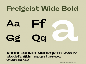 Freigeist Wide Bold Version 1.000;hotconv 1.0.109;makeotfexe 2.5.65596 Font Sample