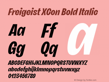 Freigeist XCon Bold Italic Version 1.000;hotconv 1.0.109;makeotfexe 2.5.65596 Font Sample