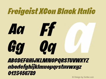 Freigeist XCon Black Italic Version 1.000;hotconv 1.0.109;makeotfexe 2.5.65596 Font Sample