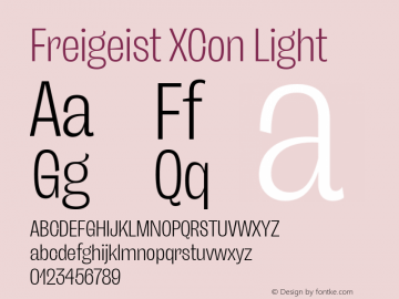 Freigeist XCon Light Version 1.000;hotconv 1.0.109;makeotfexe 2.5.65596 Font Sample