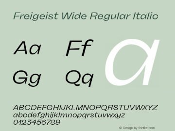 Freigeist Wide Regular Italic Version 1.000;hotconv 1.0.109;makeotfexe 2.5.65596图片样张