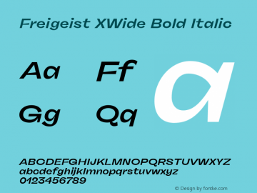 Freigeist XWide Bold Italic Version 1.000;hotconv 1.0.109;makeotfexe 2.5.65596图片样张