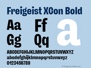 Freigeist XCon Bold Version 1.000;hotconv 1.0.109;makeotfexe 2.5.65596 Font Sample