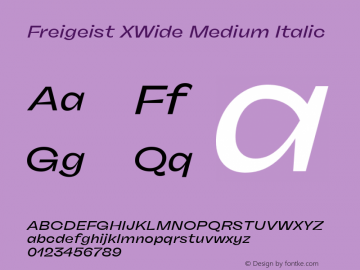 Freigeist XWide Medium Italic Version 1.000;hotconv 1.0.109;makeotfexe 2.5.65596 Font Sample