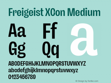 Freigeist XCon Medium Version 1.000;hotconv 1.0.109;makeotfexe 2.5.65596 Font Sample