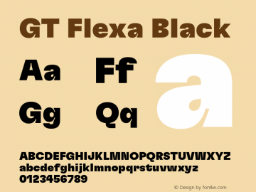 GT Flexa Black Version 2.005;hotconv 1.0.109;makeotfexe 2.5.65596 Font Sample