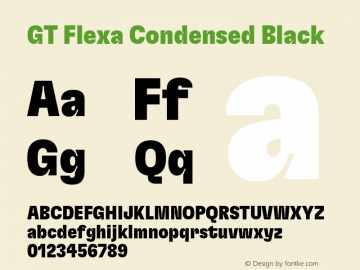 GT Flexa Condensed Black Version 2.005;hotconv 1.0.109;makeotfexe 2.5.65596 Font Sample