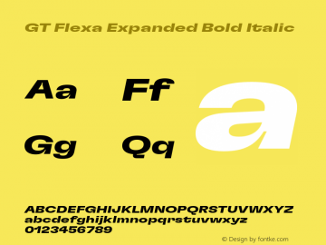 GT Flexa Expanded Bold Italic Version 2.005;hotconv 1.0.109;makeotfexe 2.5.65596 Font Sample