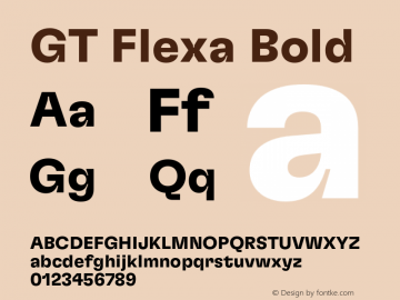 GT Flexa Bold Version 2.005;hotconv 1.0.109;makeotfexe 2.5.65596 Font Sample