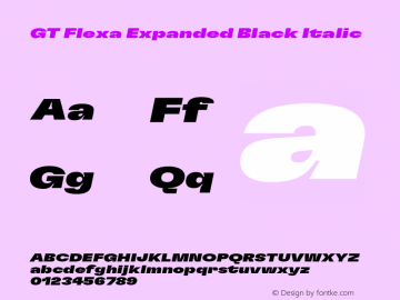 GT Flexa Expanded Black Italic Version 2.005;hotconv 1.0.109;makeotfexe 2.5.65596 Font Sample