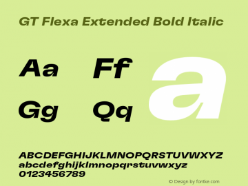 GT Flexa Extended Bold Italic Version 2.005;hotconv 1.0.109;makeotfexe 2.5.65596 Font Sample