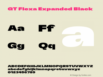 GT Flexa Expanded Black Version 2.005;hotconv 1.0.109;makeotfexe 2.5.65596 Font Sample