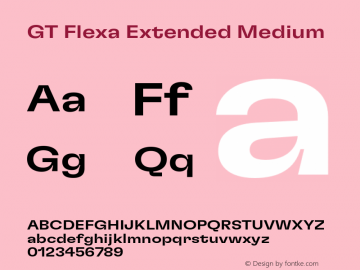 GT Flexa Extended Medium Version 2.005;hotconv 1.0.109;makeotfexe 2.5.65596 Font Sample