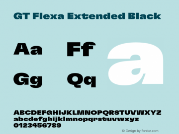GT Flexa Extended Black Version 2.005;hotconv 1.0.109;makeotfexe 2.5.65596 Font Sample