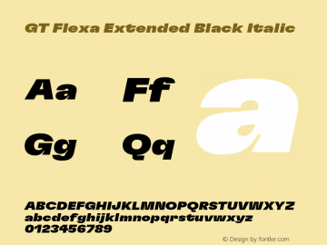GT Flexa Extended Black Italic Version 2.005;hotconv 1.0.109;makeotfexe 2.5.65596 Font Sample