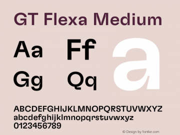 GT Flexa Medium Version 2.005;hotconv 1.0.109;makeotfexe 2.5.65596 Font Sample