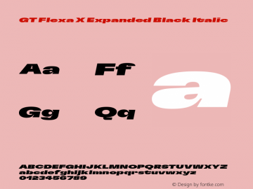 GT Flexa X Expanded Black Italic Version 2.005;hotconv 1.0.109;makeotfexe 2.5.65596 Font Sample
