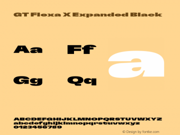 GT Flexa X Expanded Black Version 2.005;hotconv 1.0.109;makeotfexe 2.5.65596图片样张