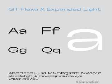 GT Flexa X Expanded Light Version 2.005;hotconv 1.0.109;makeotfexe 2.5.65596图片样张