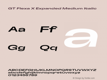 GT Flexa X Expanded Medium Italic Version 2.005;hotconv 1.0.109;makeotfexe 2.5.65596 Font Sample