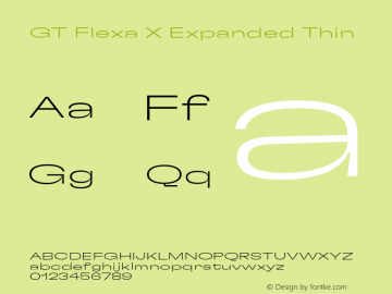 GT Flexa X Expanded Thin Version 2.005;hotconv 1.0.109;makeotfexe 2.5.65596 Font Sample