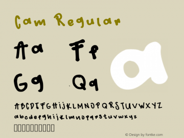 Cam Regular Version 001.001 Font Sample