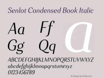 Senlot-CondensedBookItalic Version 1.000图片样张