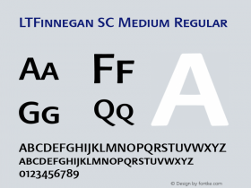 LTFinnegan SC Medium Regular 1.00图片样张