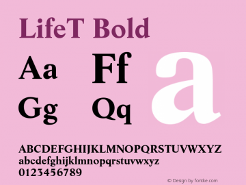 LifeT Bold Version 001.005图片样张