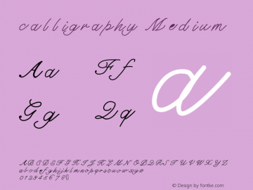 calligraphy Version 001.000 Font Sample