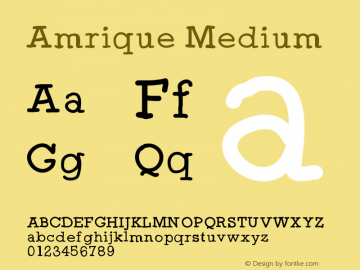 Amrique Version 001.000 Font Sample