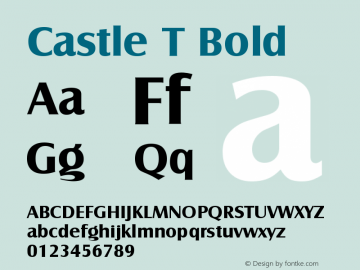 Castle T Bold Version 001.005 Font Sample