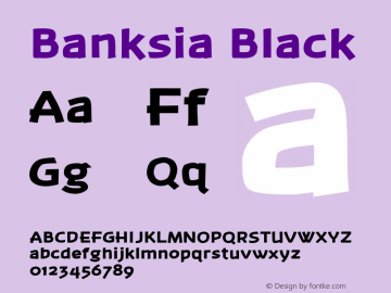 Banksia Black Altsys Fontographer 4.0 9/5/2001图片样张