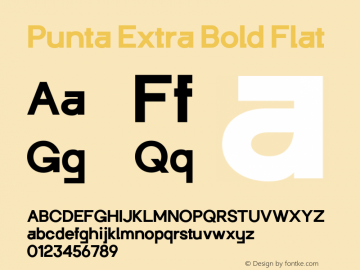 Punta-ExtraBoldFlat Version 1.020 Font Sample