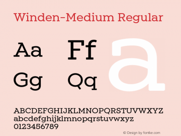 Winden W05 Medium Version 1.00图片样张