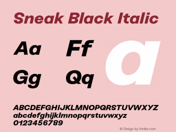 Sneak-Black-Italic Version 1.100;hotconv 1.0.109;makeotfexe 2.5.65596图片样张