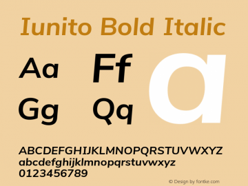 Iunito Bold Italic Version 2.502;June 1, 2020;FontCreator 12.0.0.2522 64-bit Font Sample