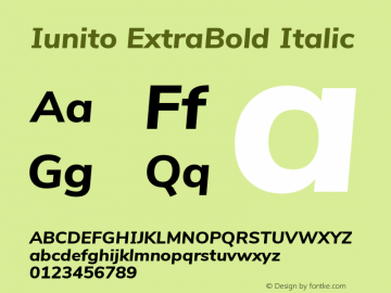 Iunito ExtraBold Italic Version 2.502;June 1, 2020;FontCreator 12.0.0.2522 64-bit Font Sample